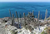 The Traveler's House   (N. CITRA 011015-LT-1230)