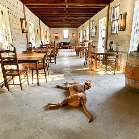 Cozy cottage on the hill in the heart of Warm Springs.