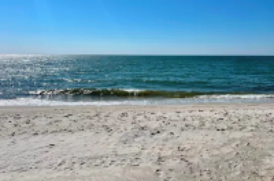 Beautiful Chatham,  Sun Sand & Surf.  8/10 mile to  beaches ,pet friendly home