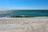 Beautiful Chatham,  Sun Sand & Surf.  8/10 mile to  beaches ,pet friendly home