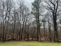 1959 Mid-Century Retro Home on 5 acres