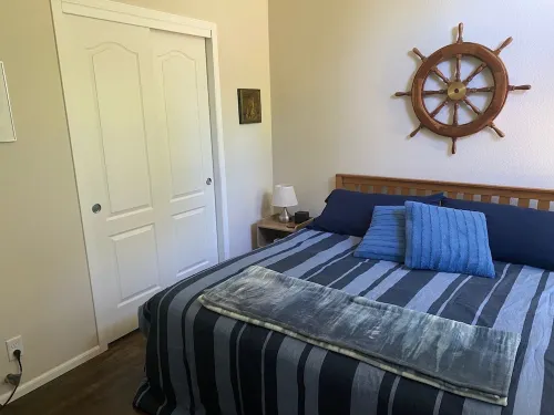 In the heart of the Redwood Forest