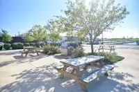 Luxury Lakeview Luxury Condo