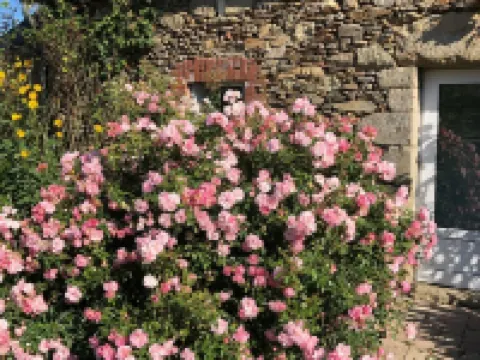 House at 700 m from the sea, facing south, garden, wifi, 1 bedroom, 2 persons Hotels in Ploubazlanec
