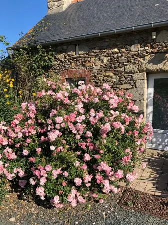 House at 700 m from the sea, facing south, garden, wifi, 1 bedroom, 2 persons Отели в г. Плубаланек