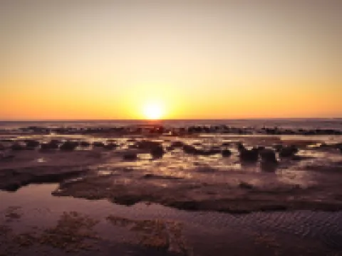 国民宿舎千畳苑 浜田のホテル