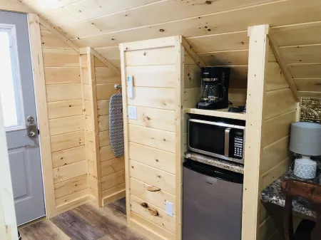 Knotty Squirrel The Nest