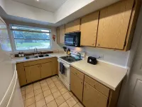 Curly Sunshine – Spacious 4Br, 2Bath Retreat in the Heart of Clearwater, Florida