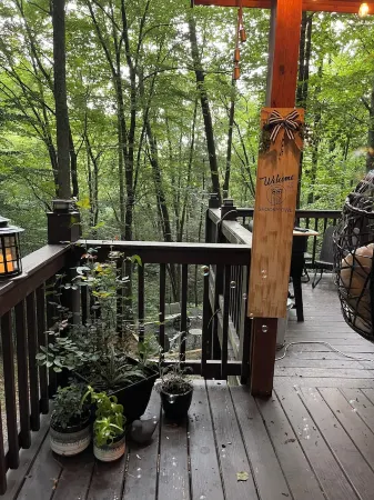 Classic Stylish Cabin in Cherry Log w/ Hot Tub, Fire Pit & Seclusion