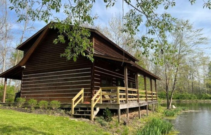Unique Log Cabin Retreat on 138 Acres, swim, fish, boat, paddleboard, kayak!