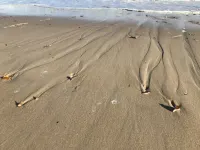 SELLIN-Wilhelmstraße, mod. apartment in top location, 200 m to the beach / pier, terrace