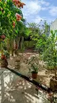 Casa Otilia - Hospedaje