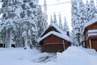 2 family +; dog friendly retreat; HOT TUB; 4bed, 2 bath; well stocked kitchen.