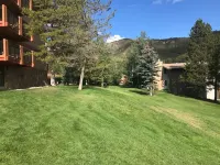 Best Value in Snowmass! Walk to ski lifts and the Treehouse in less than 3 mins!