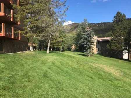 Best Value in Snowmass! Walk to ski lifts and the Treehouse in less than 3 mins!