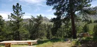 Remote Peaceful Cabin,  Great Wildlife Viewing, Hunting and Fishing Close by