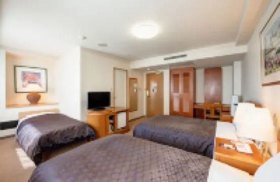 Albert Hotel Hoteles en 