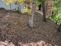 Charming 2-bedroom house in Bella Vista with private access to Tunnel Vision.