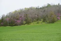 Secluded Mountain House Near State College & Huntingdon, PA