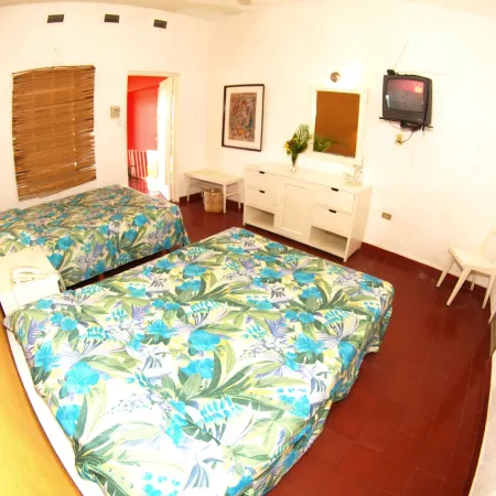 Hotel Flamingos