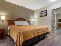 Econo Lodge Inn & Suites Hotels in Flowood