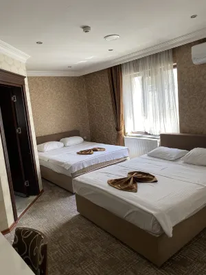 Hotel Dosco Hotel di Van