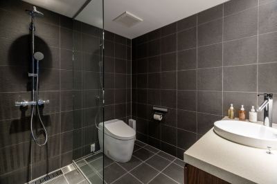 その他 Jade Rabbitの写真