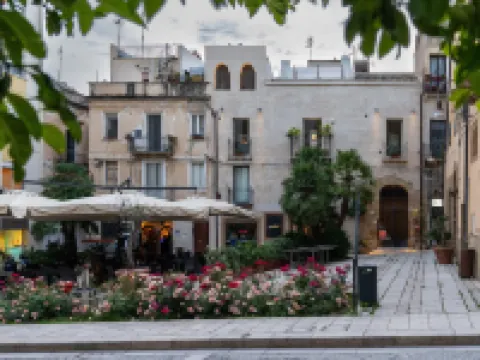 ソフィーセンタールーム シャッカのホテル