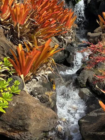 UPDATED 3RD FLOOR UNIT, OCEAN VIEW FROM YOUR BED, OUTRIGGER BEACHFRONT RESORT Отели рядом с Аэропорт Лихуэ