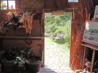 Besondere Ferienwohnung Bibliothek in Buschhagen