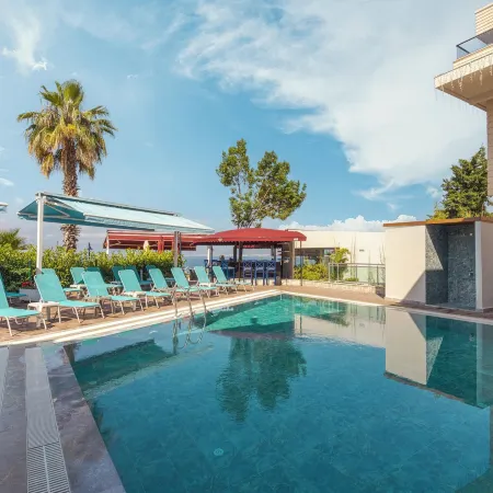 Tema 242 Hotel