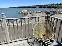 Little Bird Inn Hotel a Kingston