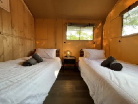 Lion King Safari Tent Hotels in Carew