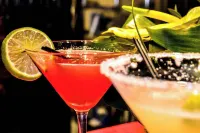 Hotel Pelirocco - bar
