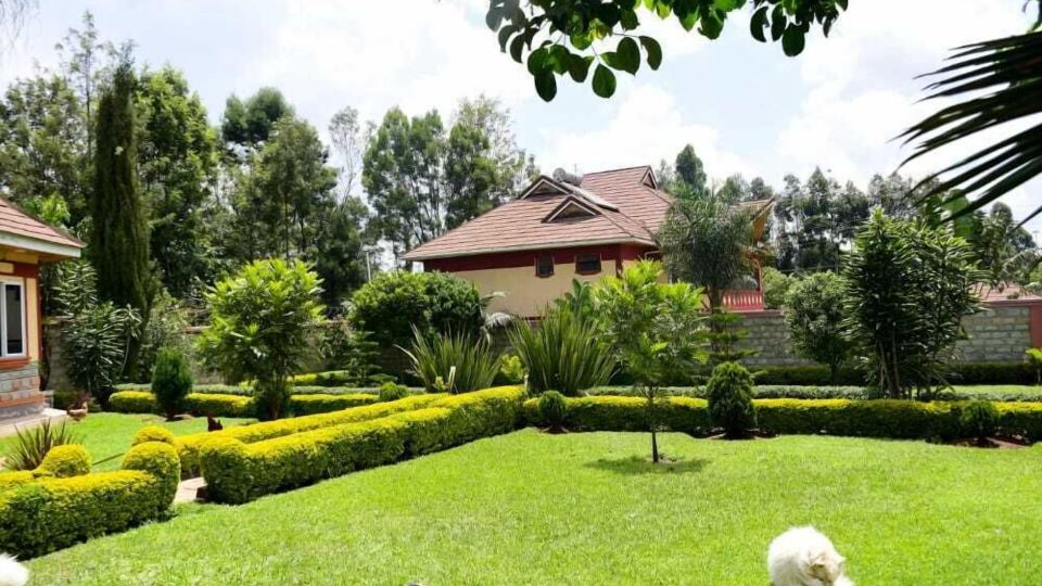Lux Suites Elgon View Holiday House