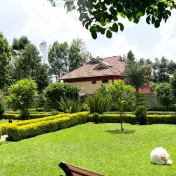 Lux Suites Elgon View Holiday House
