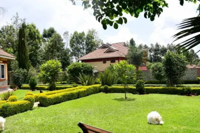 Lux Suites Elgon view Holiday House Hotels near Mountain View Shopping Centre