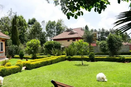 Lux Suites Elgon View Holiday House