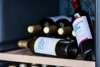 艾奧利斯提諾斯套房飯店 - 酒吧