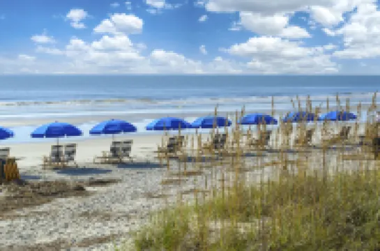 Elegant Townhouse with Modern Kitchen and Scenic Decks - Stunning Retreat