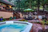 Stunning mountainside home with hot tub, fireplace & washer/dryer - dogs welcome Hotels in Eagle-Vail