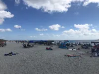 Luxe Kitchen and Spacious Living Area - Charming Low Country Haven