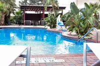 Holiday Inn BROWNSVILLE by IHG - Pools