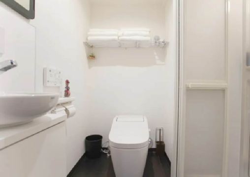 Other Dandelion Photo