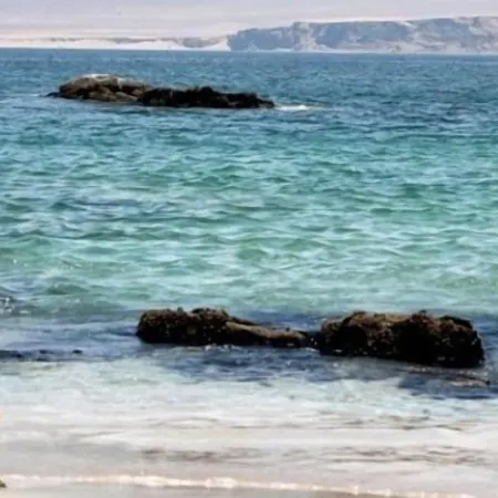 Hotel Gran Palma Paracas