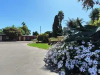 Red Chief Motel