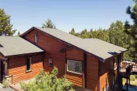 Little Red by AvantStay Peaceful Serene Cabin w Pine Tree Views