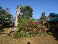 Pumaka Resort