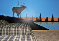 The Hideaway Lodge