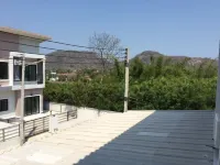 بان بليون فيو باي راتشارين